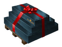 Gift - Pallet of Presents