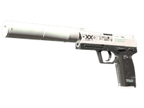 StatTrak™ USP-S | Printstream (Field-Tested)