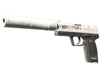USP-S | Printstream (Battle-Scarred)