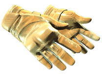 ★ Moto Gloves | Transport (Minimal Wear)