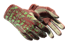 ★ Sport Gloves | Bronze Morph (Well-Worn)