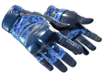 ★ Moto Gloves | Polygon (Minimal Wear)