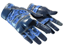 ★ Moto Gloves | Polygon (Field-Tested)