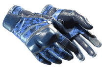 ★ Moto Gloves | Polygon (Field-Tested)