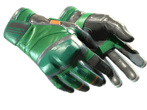 ★ Moto Gloves | Turtle (Minimal Wear)