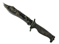 Forest DDPAT