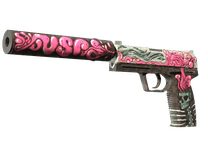 StatTrak™ USP-S | Cortex (Minimal Wear)