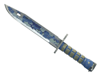 ★ Bayonet | Bright Water (Battle-Scarred)