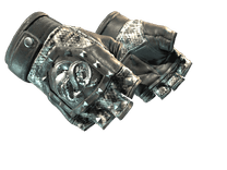 ★ Broken Fang Gloves | Unhinged (Minimal Wear)