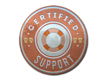 Sticker - Support (Foil)