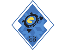 The eSports 2013 Winter Collection