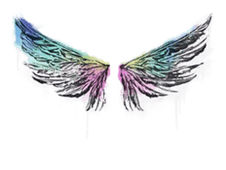 Sealed Graffiti | Wings