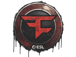 Sealed Graffiti | FaZe Clan | Katowice 2019