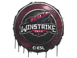 Sealed Graffiti | Winstrike Team | Katowice 2019