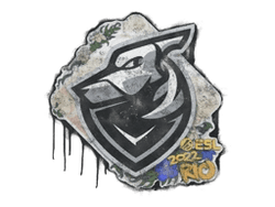 Sealed Graffiti | Grayhound Gaming | Rio 2022
