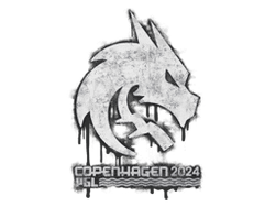 Sealed Graffiti | Team Spirit | Copenhagen 2024