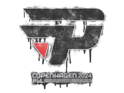 Sealed Graffiti | paiN Gaming | Copenhagen 2024
