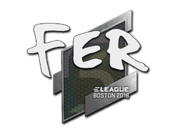 Sticker | fer | Boston 2018
