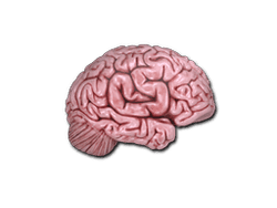 Sticker | CS On The Mind