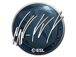 Sticker | NAF | Katowice 2019
