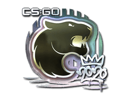 Sticker | FURIA (Foil) | 2020 RMR