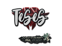 Sticker | TeSeS | Antwerp 2022