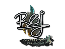 Sticker | roeJ | Antwerp 2022