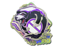Sticker | Outsiders (Holo) | Rio 2022