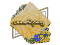 Sticker | sdy | Rio 2022