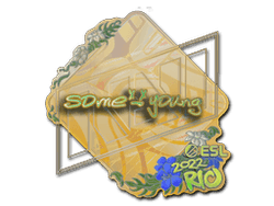 Sticker | sdy (Holo) | Rio 2022