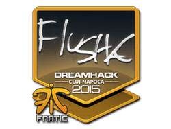 Sticker | flusha | Cluj-Napoca 2015