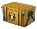 Winter Offensive Weapon Case