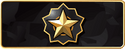 Distinguished Master Guardian CS:GO Rank