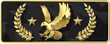 Legendary Eagle Master CS:GO Rank