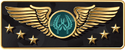 Supreme Master First Class CS:GO Rank
